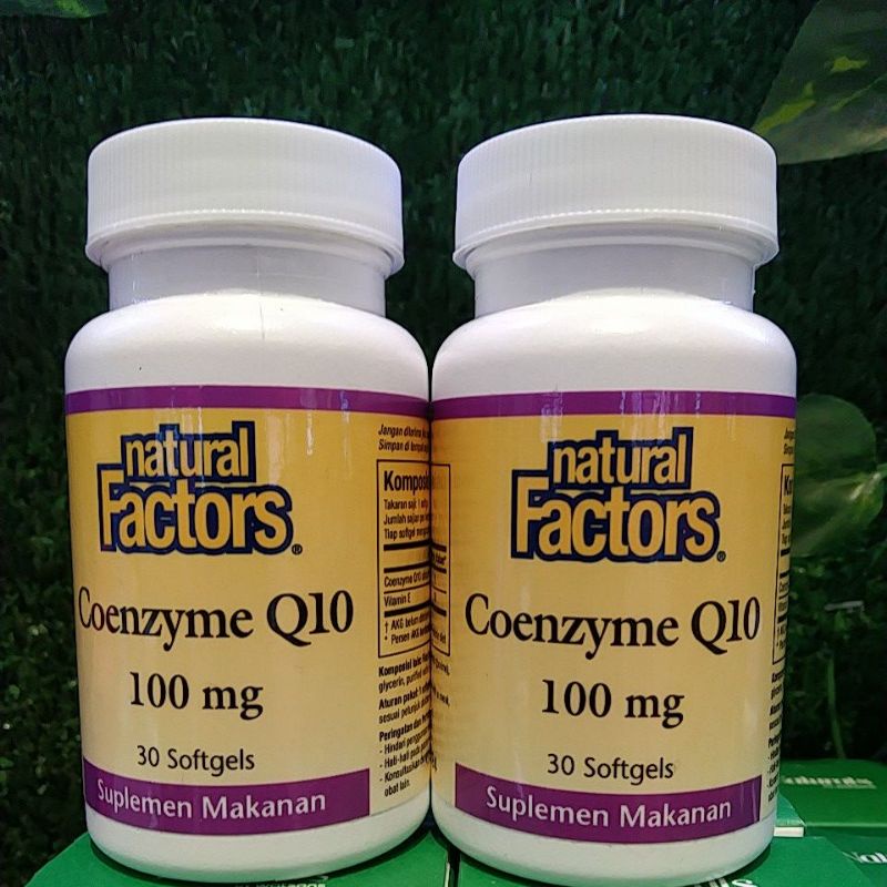 NATURAL FACTORS COQ10 100MG