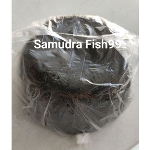 

gula cuko pempek 1kg