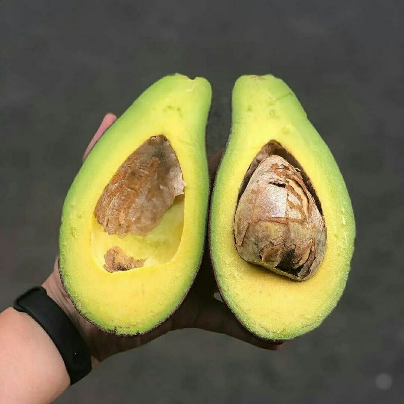 

2 Kg Alpukat Mentega Reguler