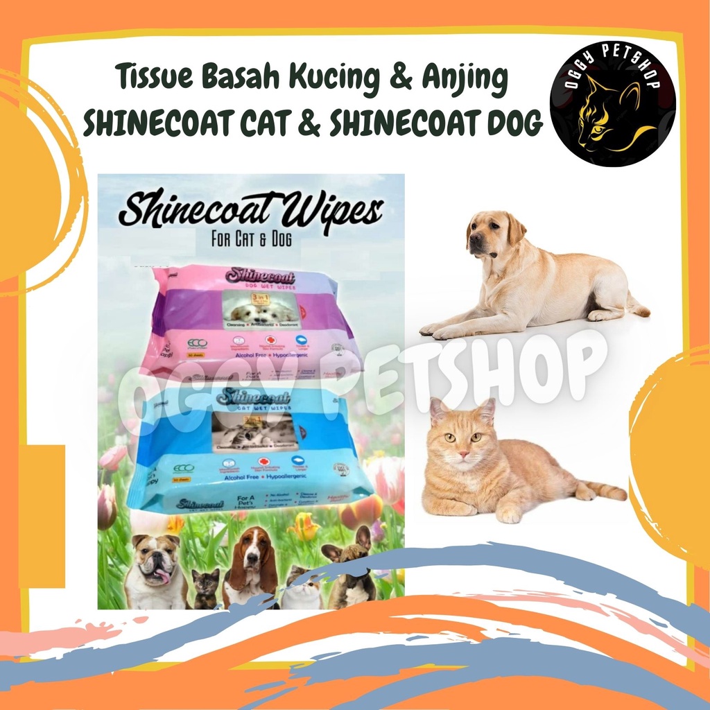 Tissue Basah Kucing &amp; Anjing SHINECOAT For CAT &amp; DOG | SHINE COAT TISSUE Isi 50 Pcs