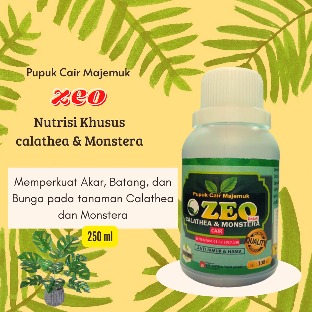 Jual Pupuk Bunga Calathea Dan Monstera Zeo Pupuk Majemuk Cair Untuk