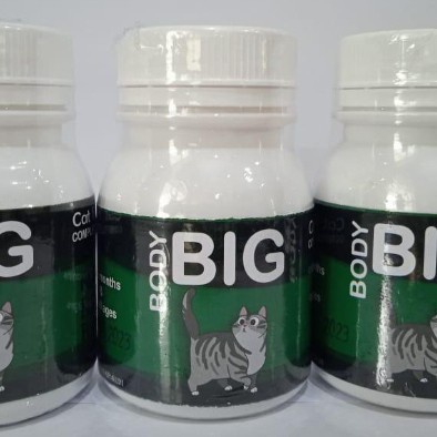 BODY BIG CAT 50 GR VITAMIN NAFSU MAKAN/QUICK FATTENER FORMULA