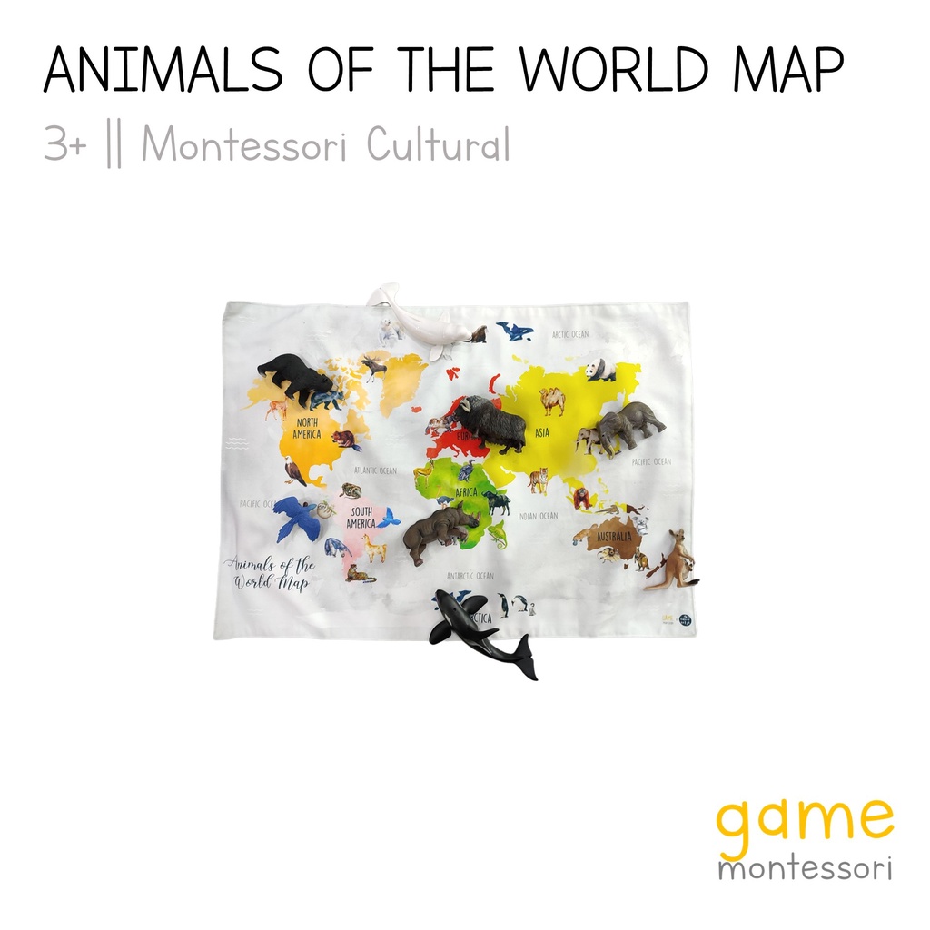 Game Montessori Animals of the World Map Canvas