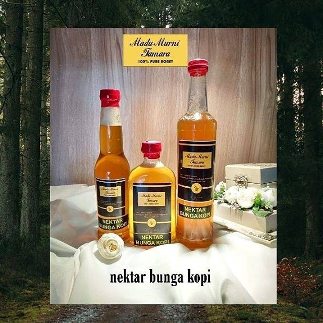 

Madu kopi (nektar bunga kopi)
