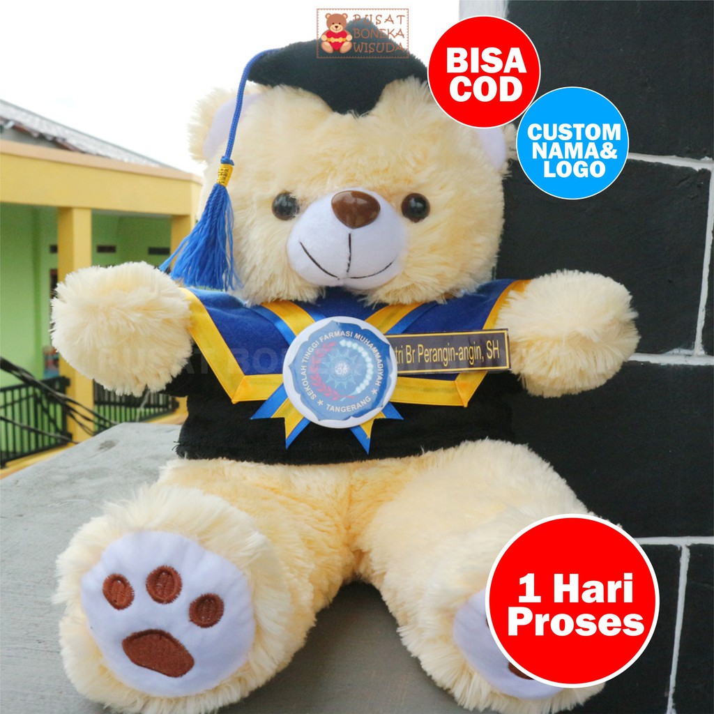 boneka wisuda teddy bear murah hadiah tedy bear kado wisuda custom beruang ada nama ukuran sedang