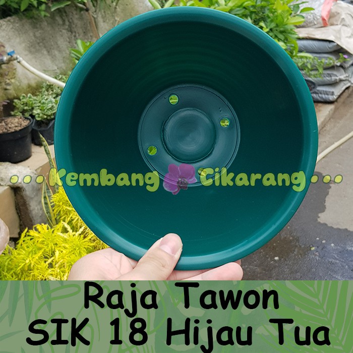 Pot bunga RAJA TAWON SIK 18 HIJAU TUA cantik tebal kuat