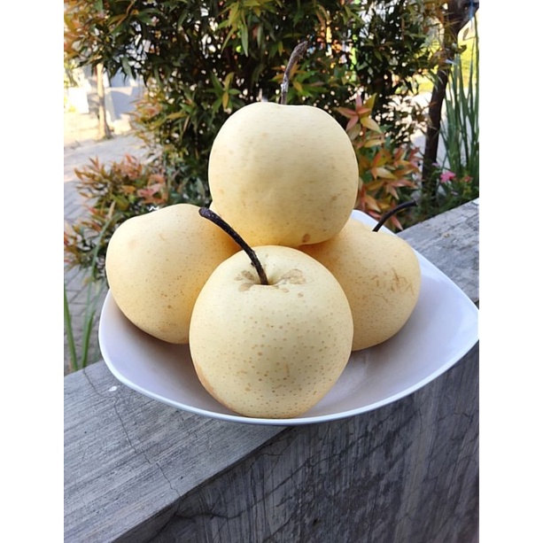 

pear century