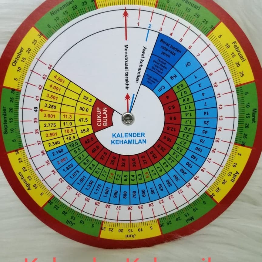 Jual Kalender Kehamilan Putar  Shopee Indonesia