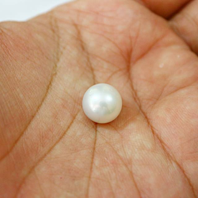 mutiara laut putih grade AAA