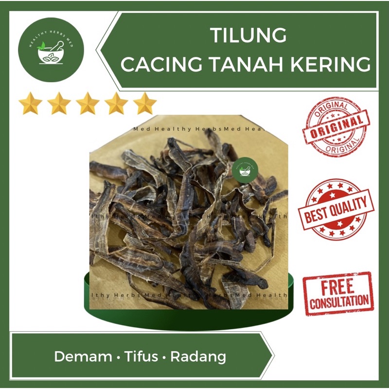 Di Long Tilung Cacing Tanah Kering Obat Tipes Demam Tifus 35 Gram