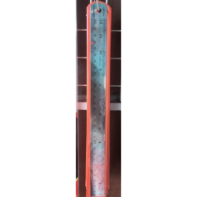 

Penggaris Besi 30 cm