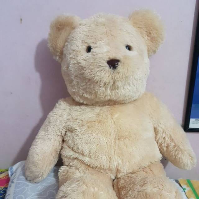 Boneka Teddy House