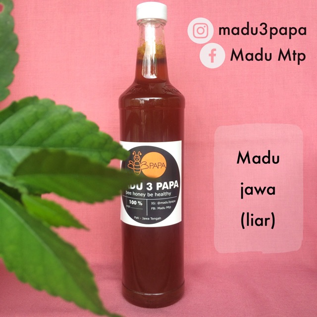 

Madu Jawa (lebah liar) 550ml