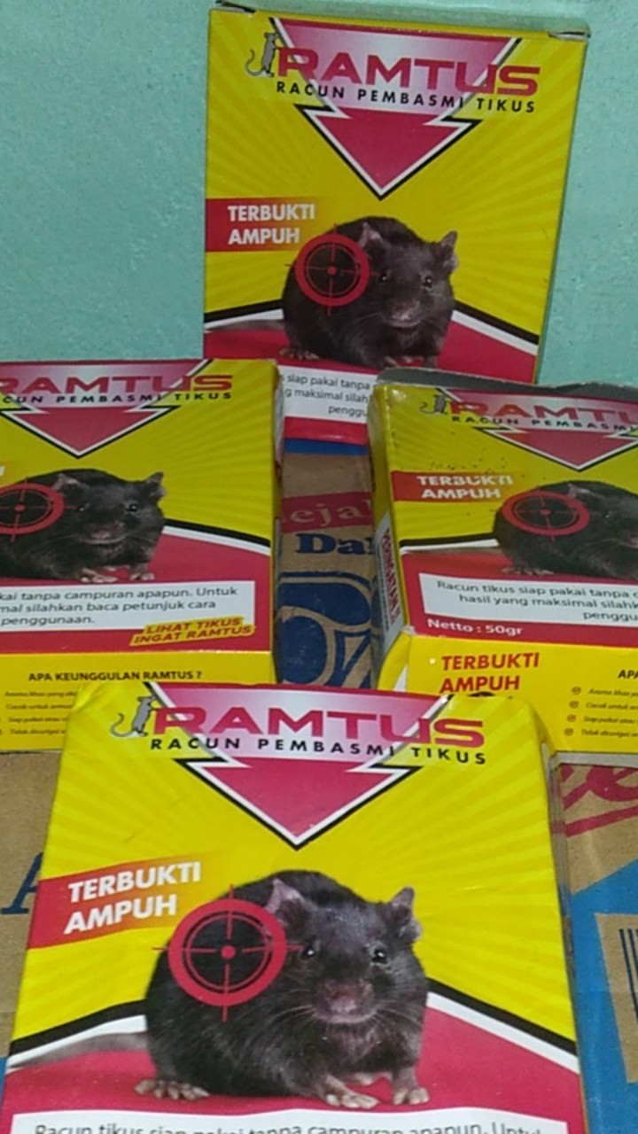 Racun Tikus Ramtus Asli Alami Mati Kering Tidak Bau Pembasmi Pengusir Tikus Super Paling Ampuh 6 Pak