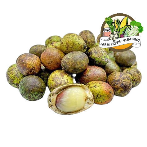 

Buah Matoa Fresh 1 kg