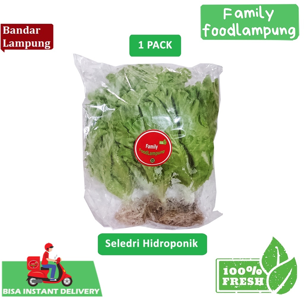 

Selada Hidroponik 1 Pack Sayuran Segar Family Food Lampung