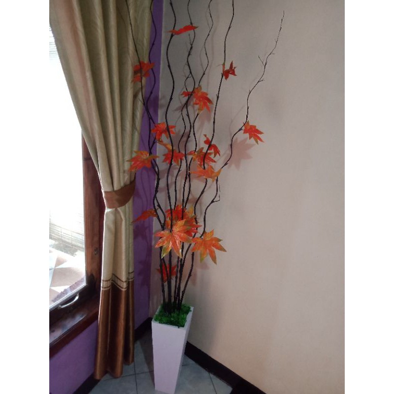 bunga sudut bambu Inul lengkap pot