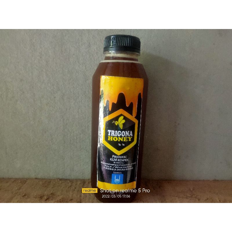 

Madu Murni Madu Trigona/Madu Asli Trigona 500 gram