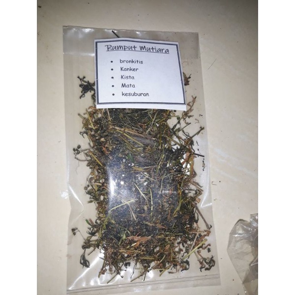 

rumput mutiara bungkusan