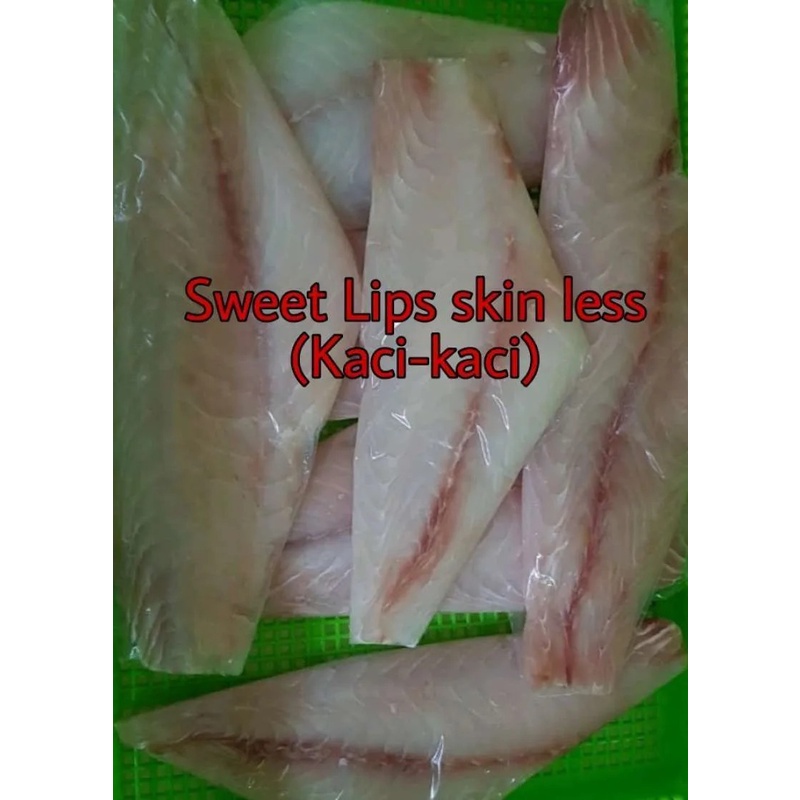 Ikan Kaci - Kaci Fillet Frozen / Fillet Kaci Kaci Frozen Per 1kg