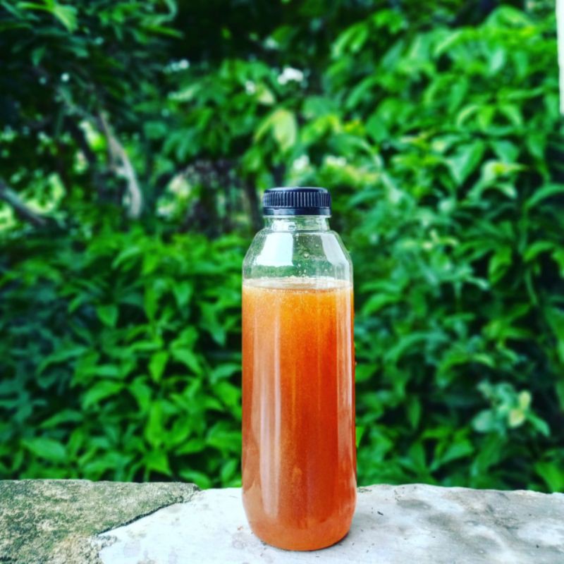 

madu hutan Sumatera