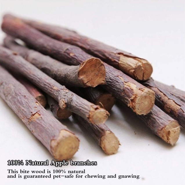 NATURAL APPLE ORCHARD CHEW STICK ASAH GIGI HAMSTER KELINCI CHINCILA TUPAI CHEWING WOOD STICK