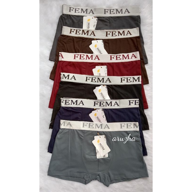 CD boxer fema cowok celana dalam segiempat