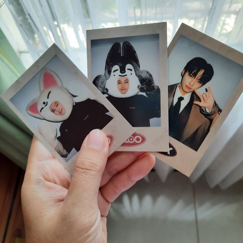 Stray Kids Jeongin I.N Ayen Bangchan Lee Know Lino POB SKZX SKZOO