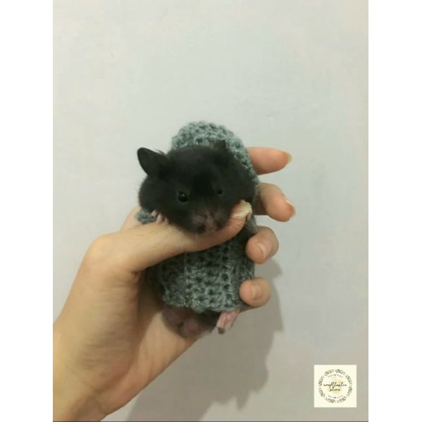 Baju Hamster Rajut Lucu Imut Gemoy Aksesoris Hewan Handmade