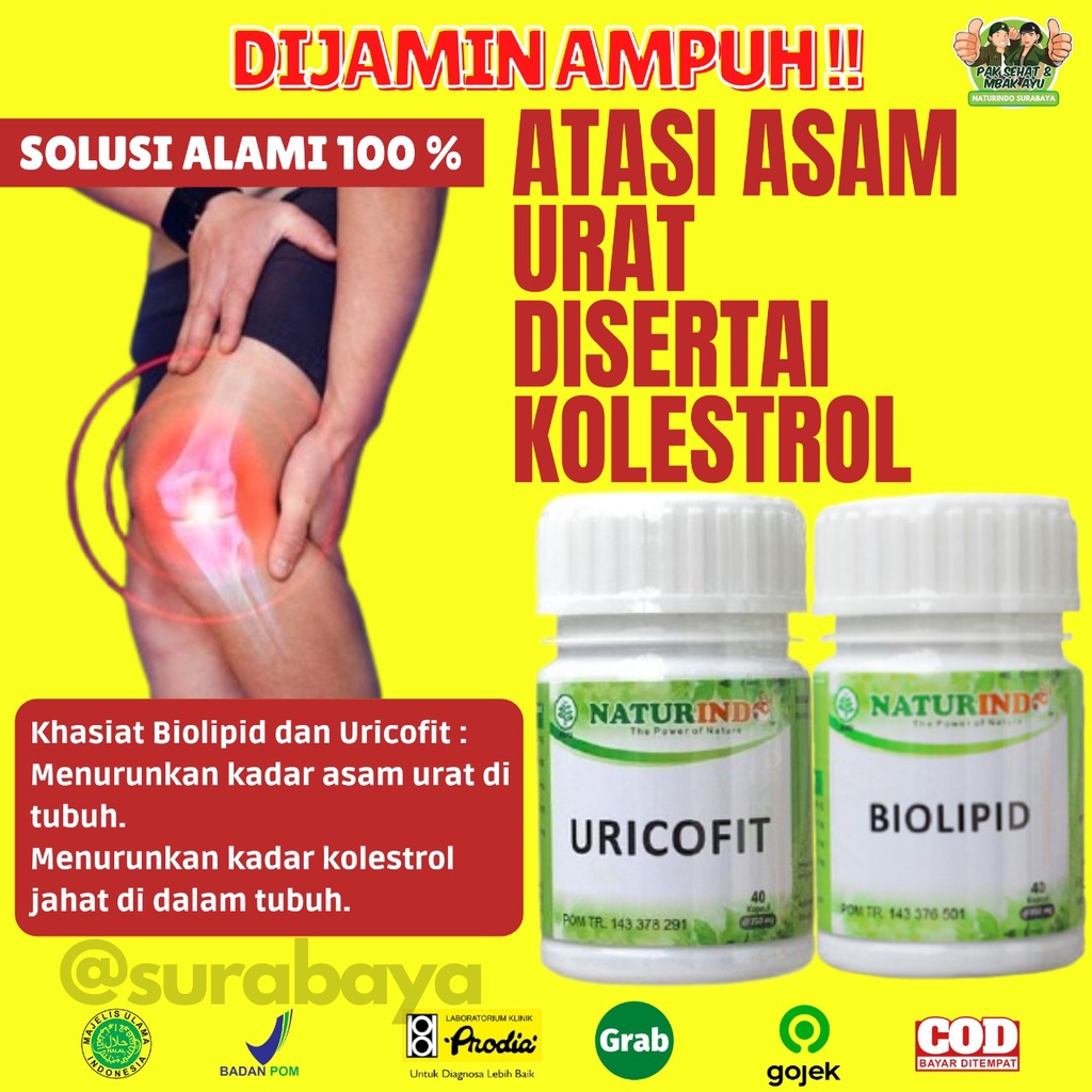 Obat Penurun Kolestrol Kolesterol Tinggi 250 Asam Urat Obat Herbal Penurun Kolestrol Jahat Darah Tinggi Obat Penghancur Lemak Darah Herbal Ampuh Menurunkan Kolesterol Bpom Jamu Kolestrol Stroke Jantung Koroner Tradisional Biolipid Naturindo Surabaya-KOLESTROL+ASAM URAT