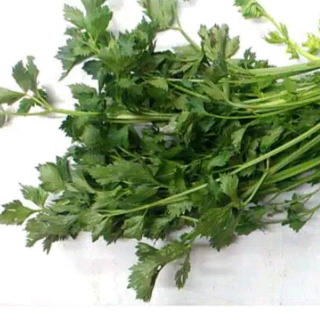 

Daun seledri 250 gram