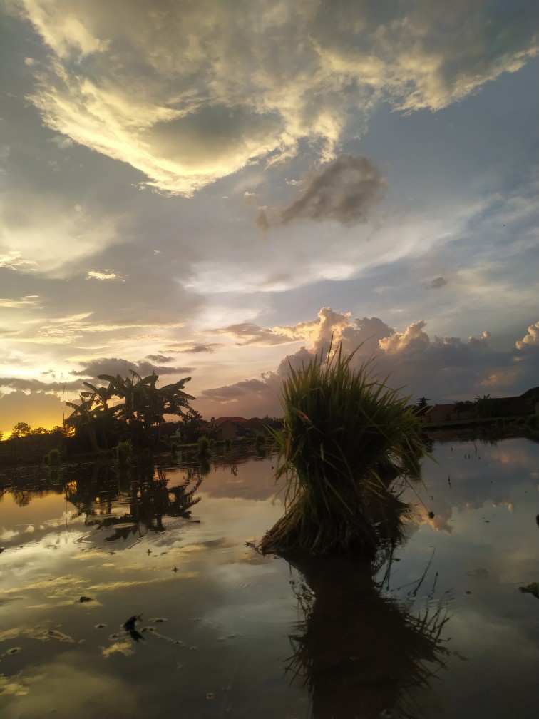 Soligen Grendel Slot Pengunci Pintu Jendela Stainless Stenlis Persegi