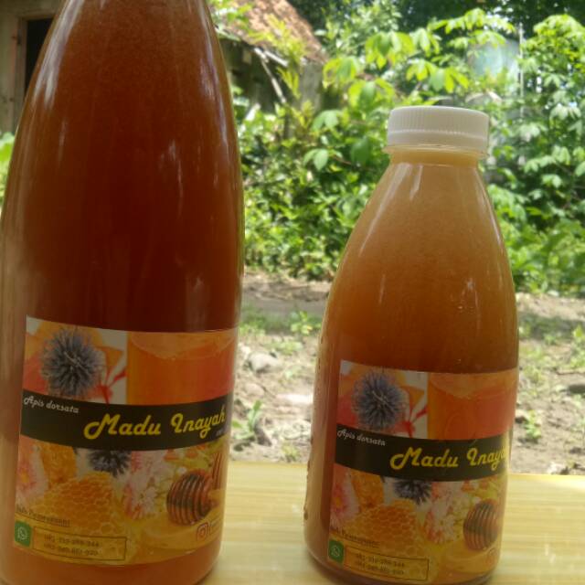 

Madu mentah sumbawa