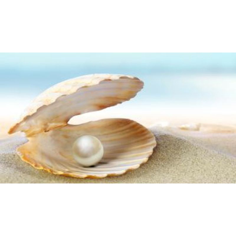 Kristine Ko Kool Pearl Cream KK Indonesia