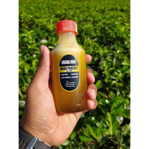 

madu hutan murni/asli 100ml
