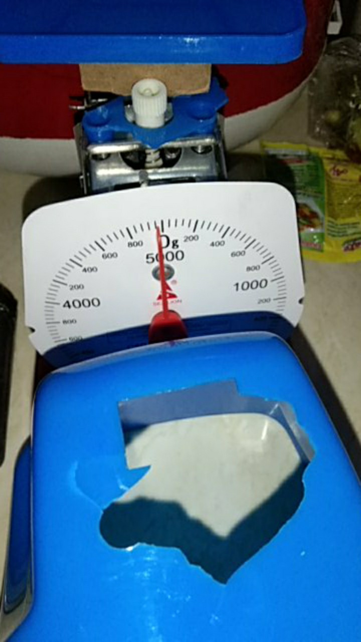Timbanga Dapur Kitchen Scale Sea Lion