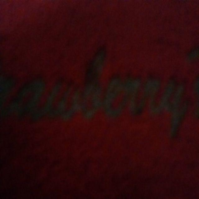 Tanaman Buah Loquat / Leci Biwa (tinggi 40-60 Cm)