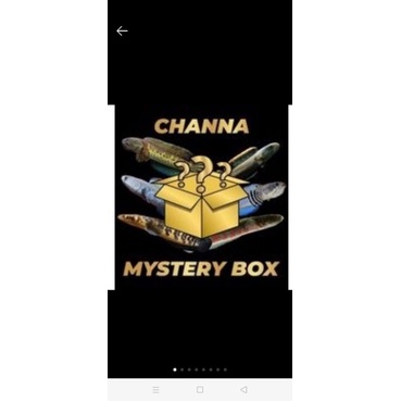 MESTERY BOX CHANA