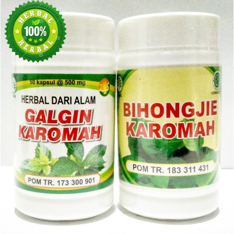 OBAT - PENURUN KADAR KREATININ - KOROFIS GINJAL- GINJAL BOCOR- - GINJAL BENGKAK