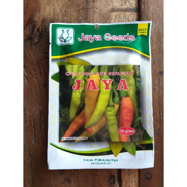 Benih Cabe Rawit Jaya-Cabe Rawit Putih Merunduk Jaya Seeds