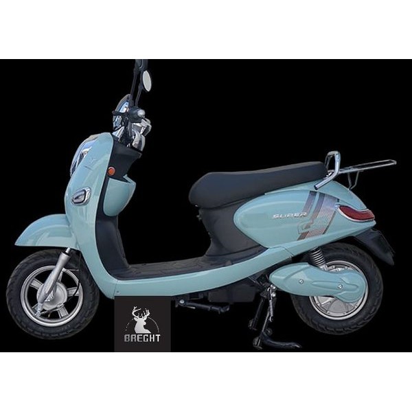 Sepeda Listrik U-Winfly Golden Turtle