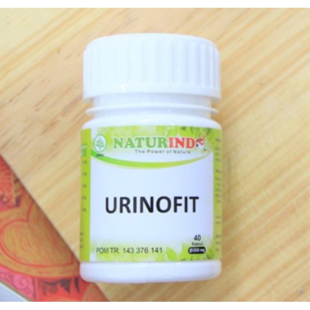 

Paket Naturindo - OBAT HERBAL GINJAL