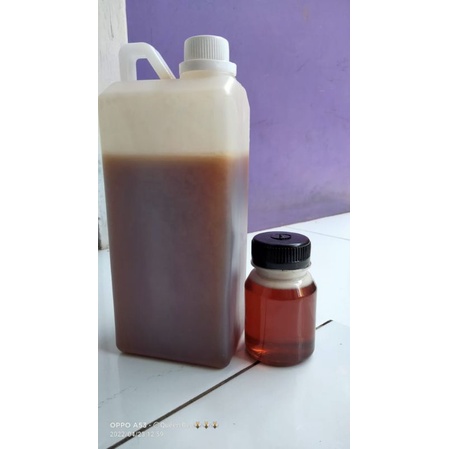 READY Madu Halimbee 100% Murni Akasia Magium Grad A Super 1kg Sehat Alami