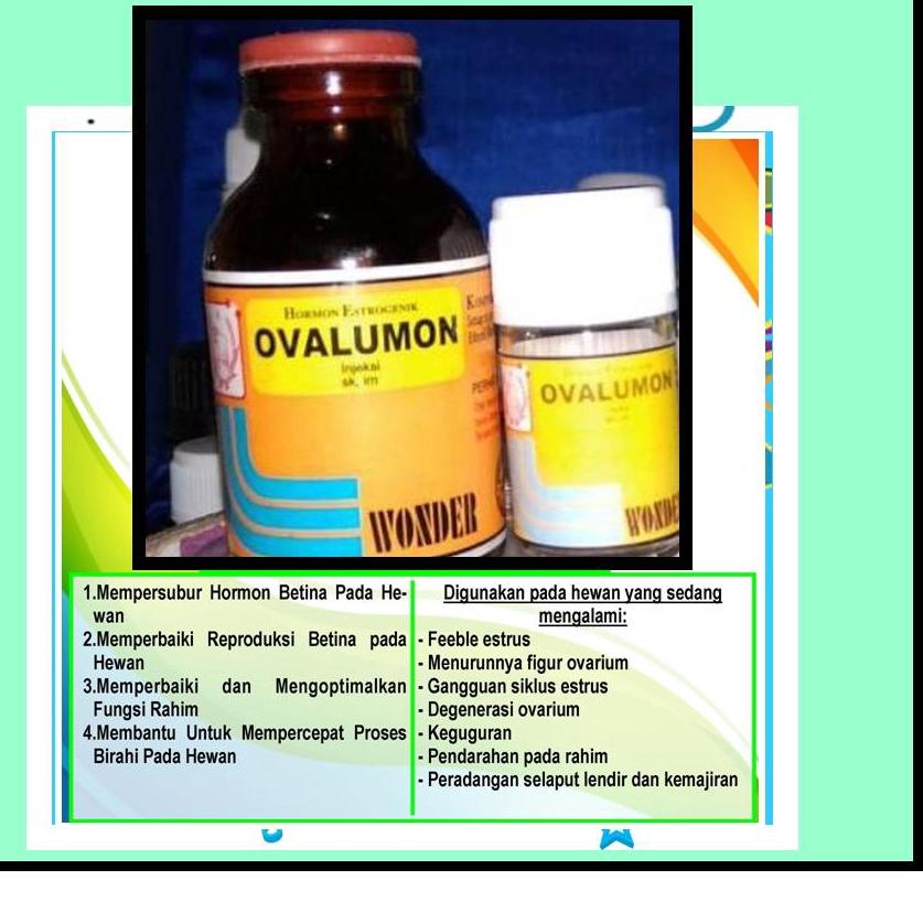 Recomended.. OVALUMON 20ML OVALUMON 5ML OVALUMON OBAT BIRAHI OVALUMON KUCING UNTUK BABI SUNTIKAN KEL