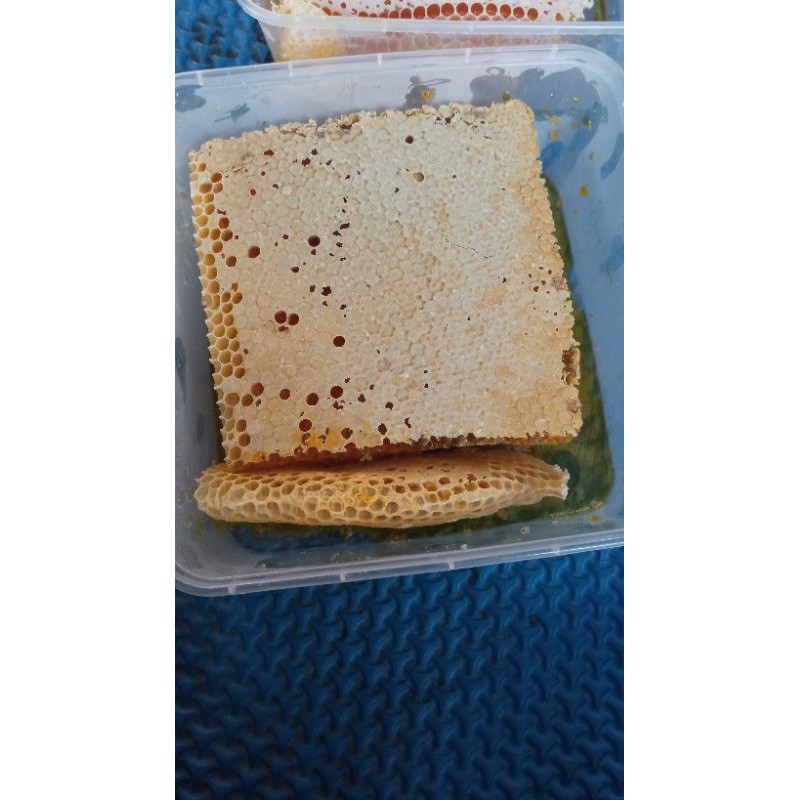

Madu dan Sarangnya