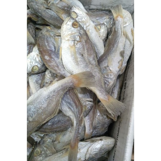 

ikan asin gulama pisang isi 250 gram