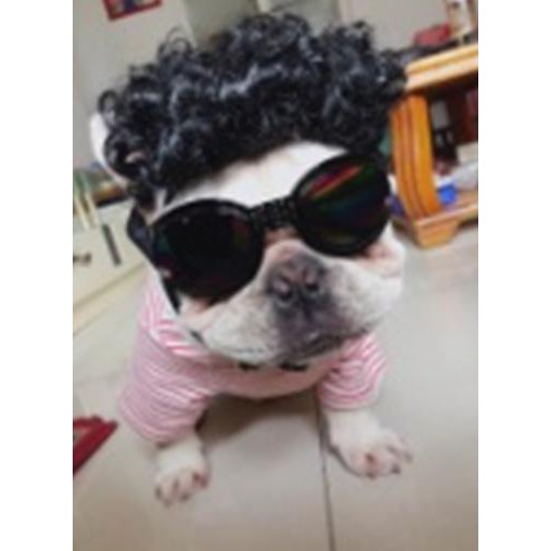 Wig Anjing Kucing topi baju kostum lucu