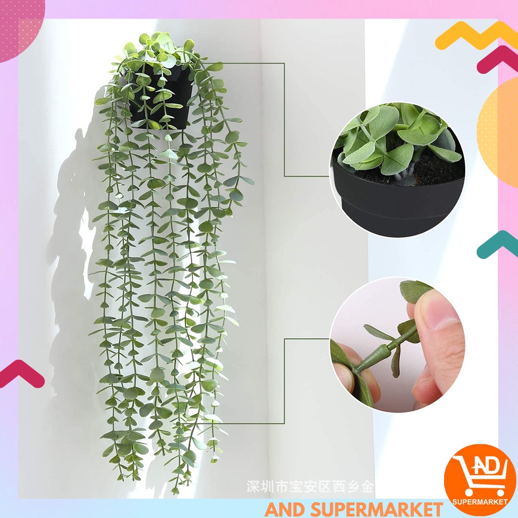Tanaman Hias Gantung Dekorasi Dinding Rumah Tanaman Juntai Palsu Pot Artificial Hoya Costa PBP54