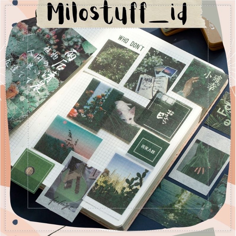 

[MILOSTUFF_ID] 100 Pcs Sticker Dekorasi Vintage Rose Green Plant Aesthetic Untuk Jurnal DIY Scrapbook--MS0281