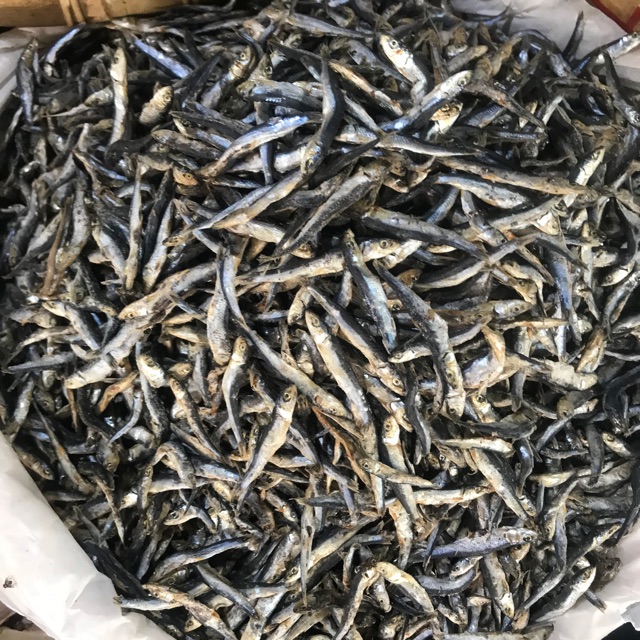 

Ikan bada karang